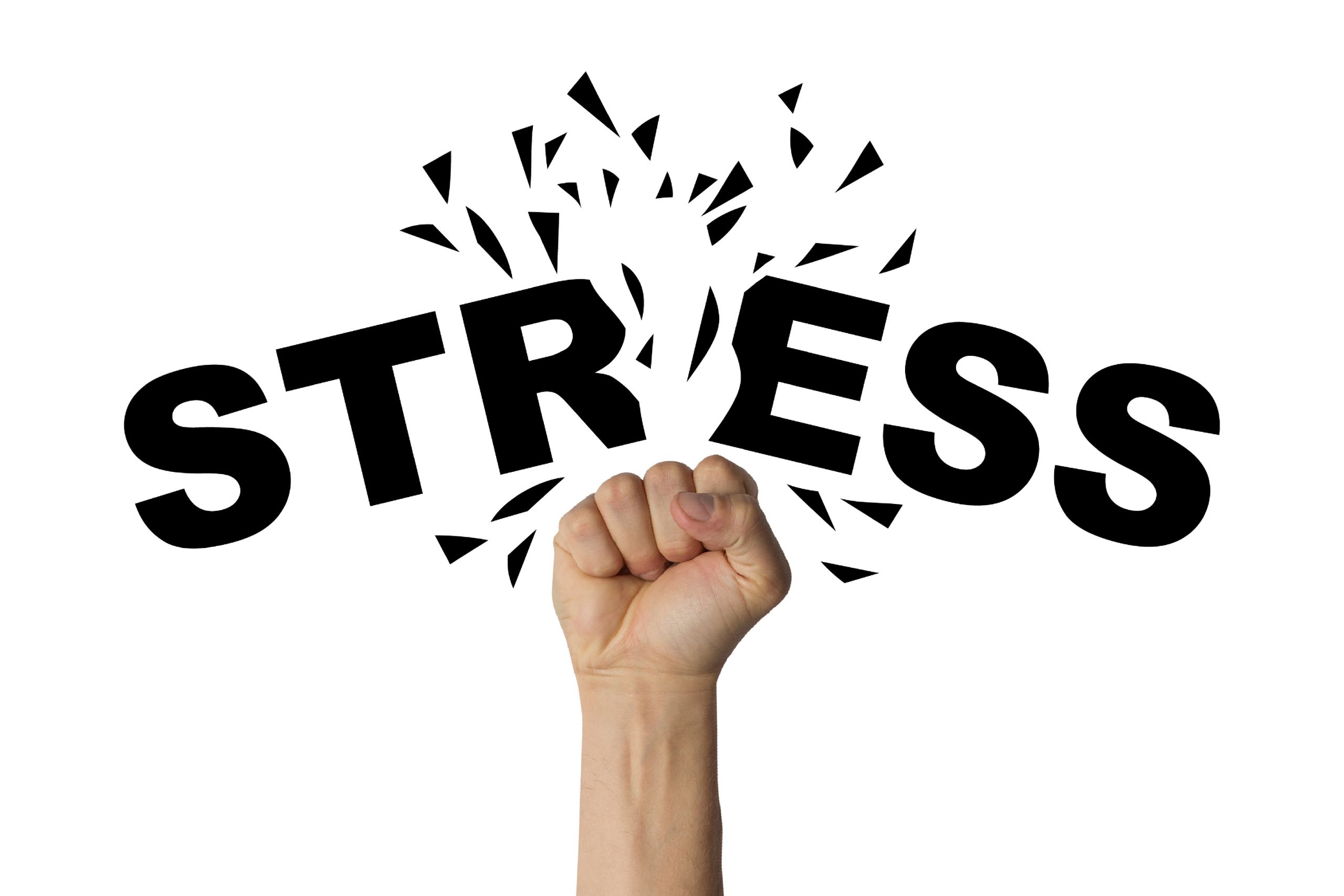 Mindfulness Techniques To Navigate Stress With Ease